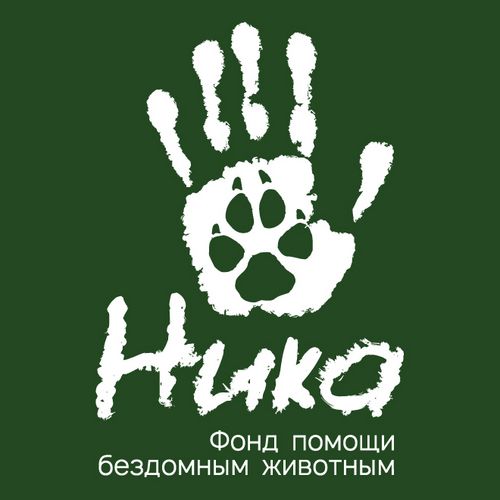 Помощь бездомным животным 