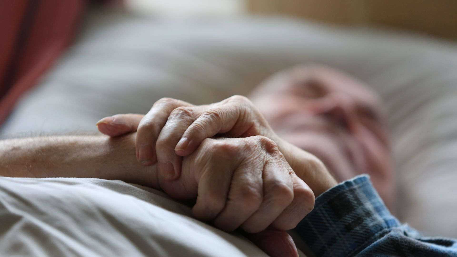 Изображение целевого сбора