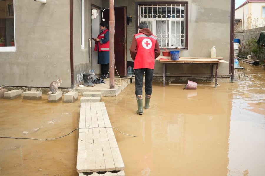 Изображение целевого сбора