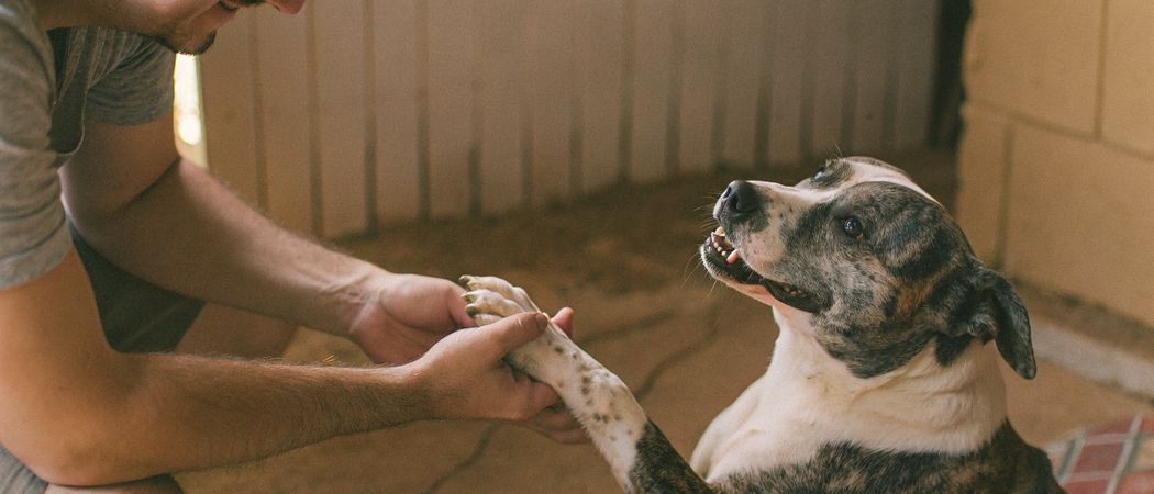 5 декабря — Всемирный день волонтёра