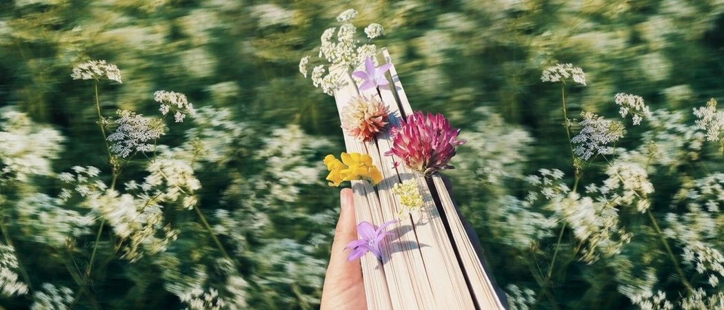 Что почитать на «зелёные» темы 