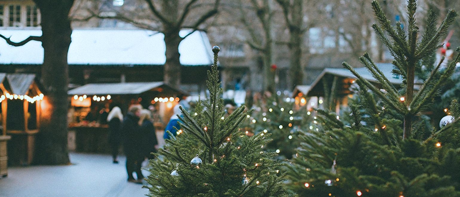 Как поступить с ёлкой, когда пришла пора её убрать