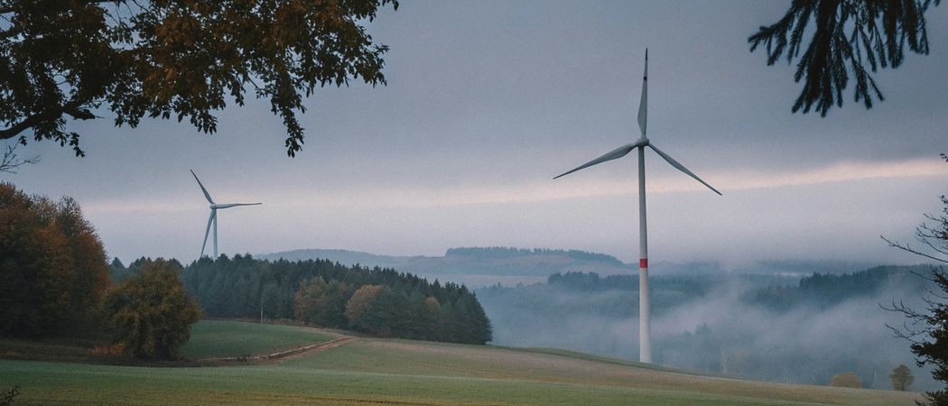 11 ноября — Международный день энергосбережения