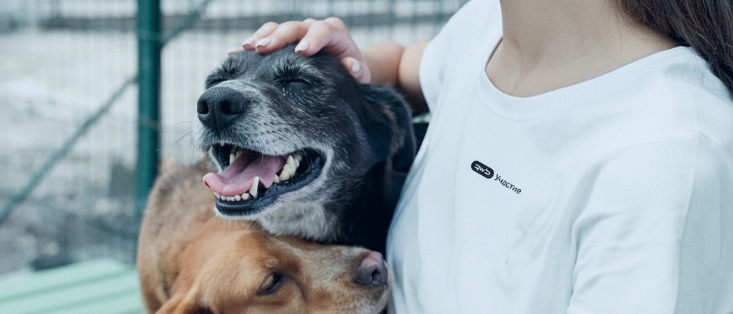 Как стать волонтёром