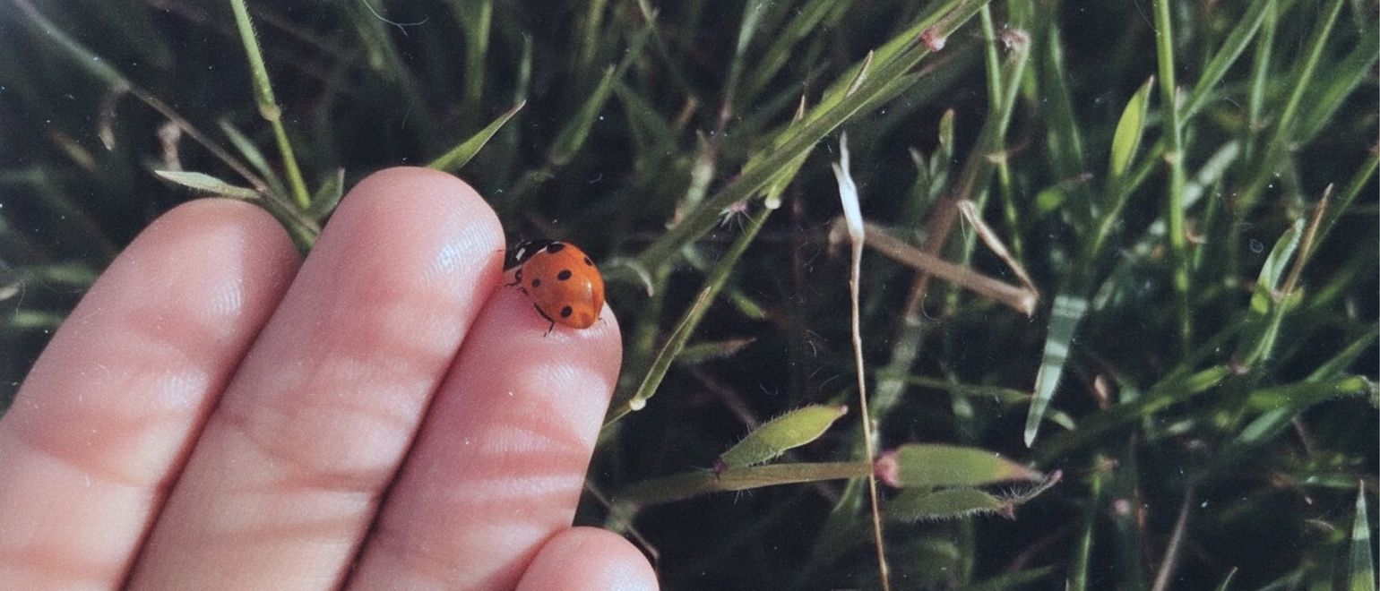 С чего начинается устойчивое поведение 