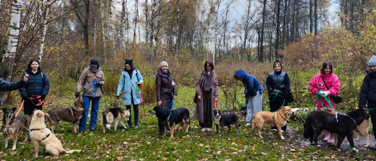 18 и 25 октября 20 волонтёров RWB вместе с благотворительным фондом для бездомных животных «РЭЙ» посетили приют для собак «Красная сосна».